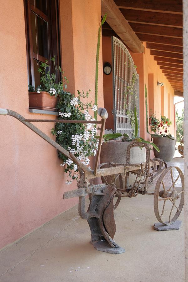 Cuccuruaio' B&B Siamaggiore Exterior photo