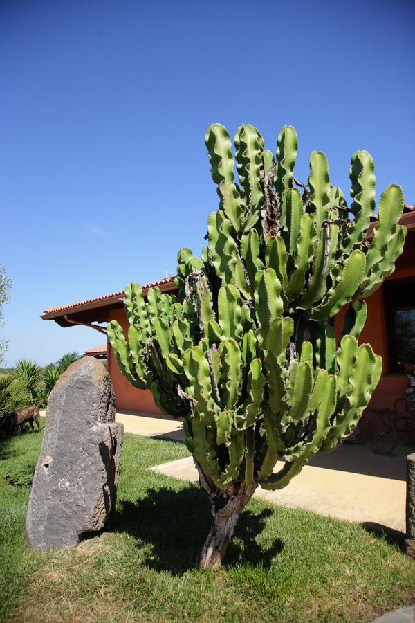 Cuccuruaio' B&B Siamaggiore Exterior photo